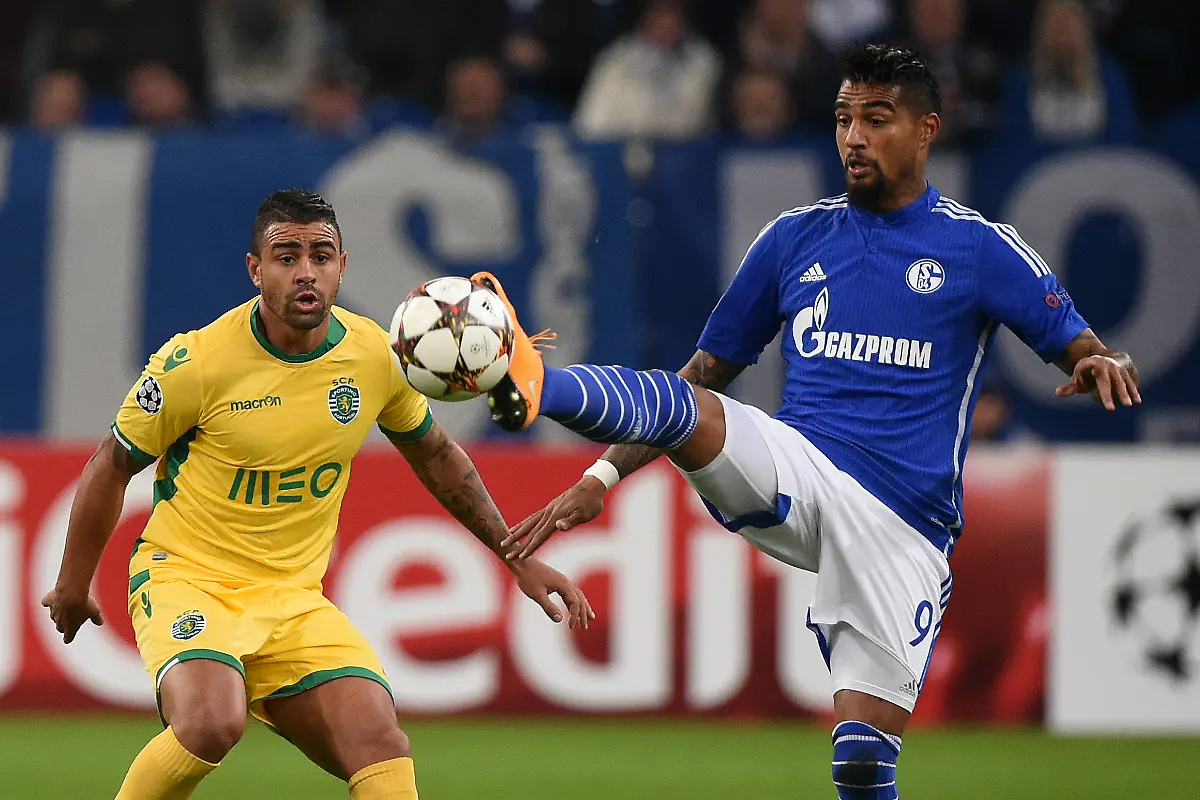 3ljx4522-jpg7088363000590699370