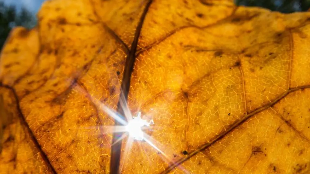 Der-Mai-Juni-und-August-dieses-Jahres-waren-schon-die-jeweils-waermsten-Monate-seit-Beginn-der-Aufzeichnungen-Nun-kommt-als-vierter-der-September-hinzu-Das-Jahr-koennte-auch-insgesamt-einen-Temperaturrekord-aufstellen