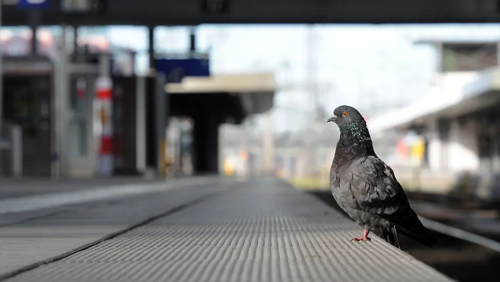 3lho2855-jpg5331908993348077625