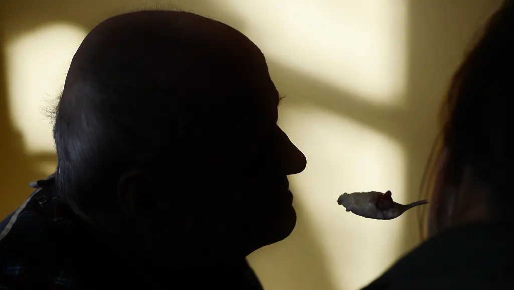 3let0400-jpg7159819503972882825