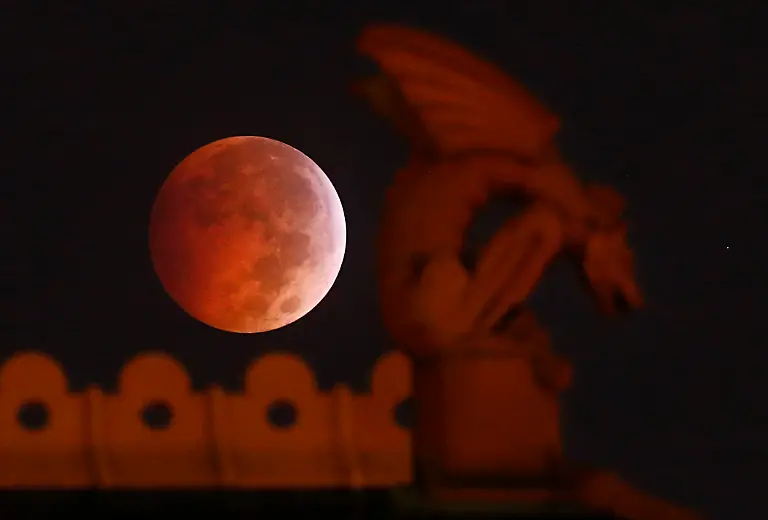 328A900093061651-jpg5988882205718711757