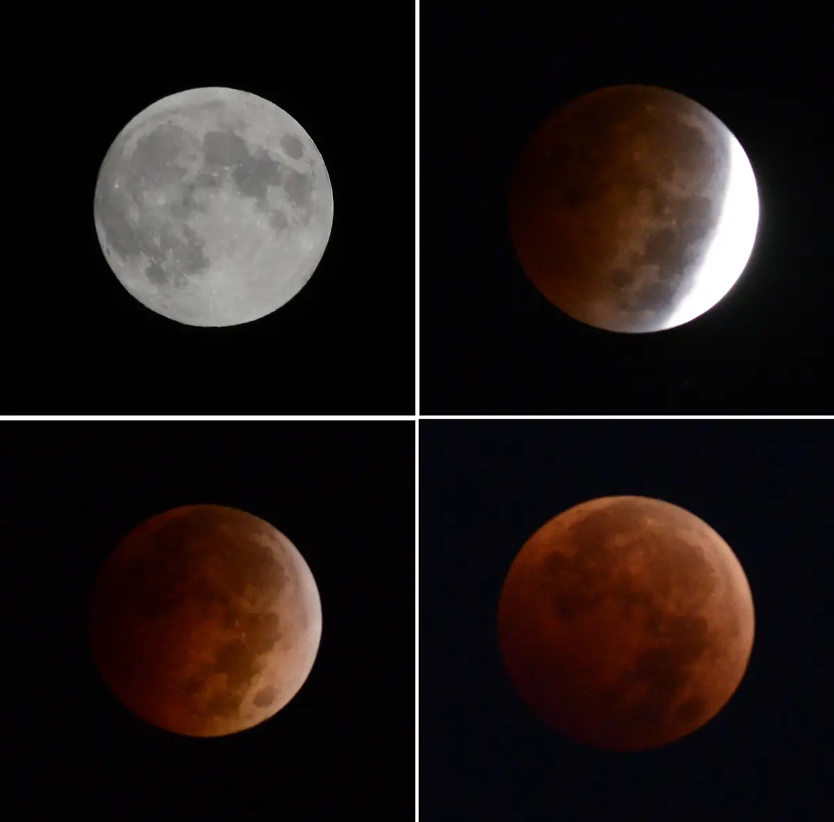 328A9000443BAAC0-jpg7521334955617935952