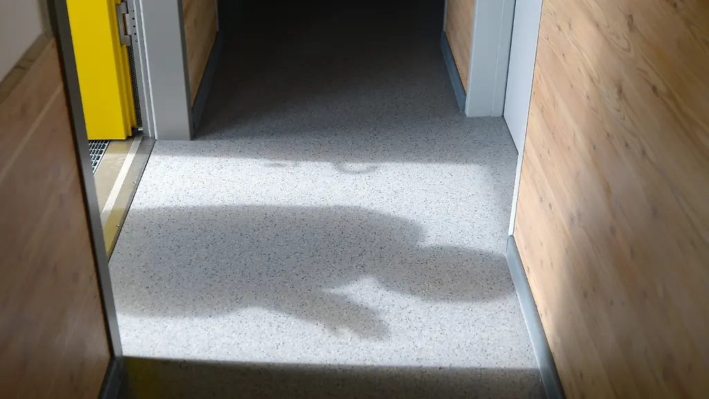 3l653146-jpg5133517801724121257