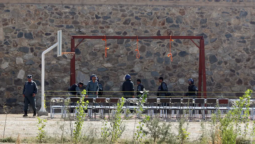 328A9000C1FE0819-jpg8611309051660496219