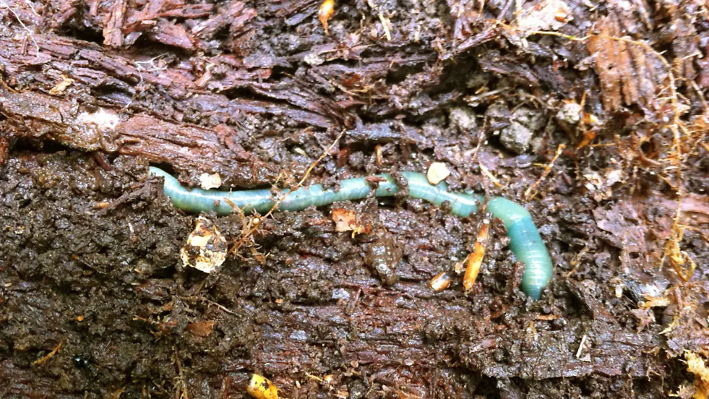 3l703828-jpg7116076191047791368