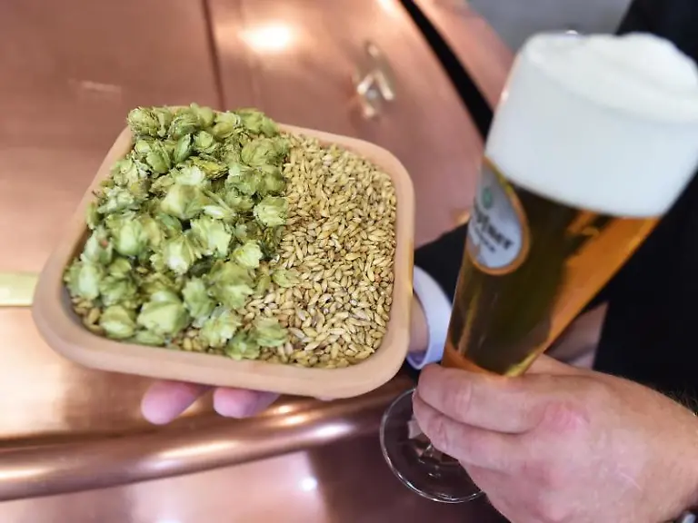 Nur-Gersten-Hopfen-und-Wasser-duerfen-nach-dem-Reinheitsgebot-ins-Bier-Die-Brauerei-Hoepfner-in-Karlsruhe-legt-grossen-Wert-auf-diese-Zutaten