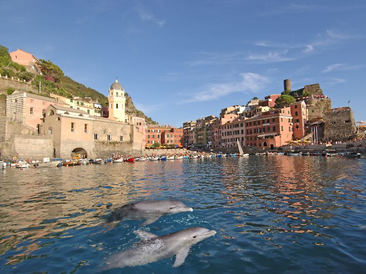 Mit Glück sehen Urlauber in Cinque Terre Delfine - wie hier vor Vernazza.