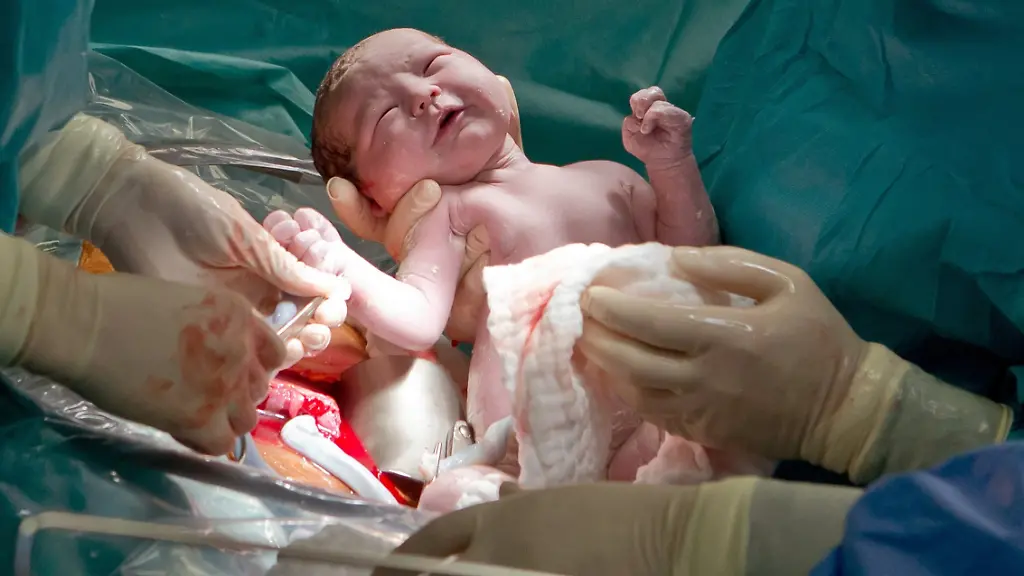 3l2a2945-jpg8165982342165249786