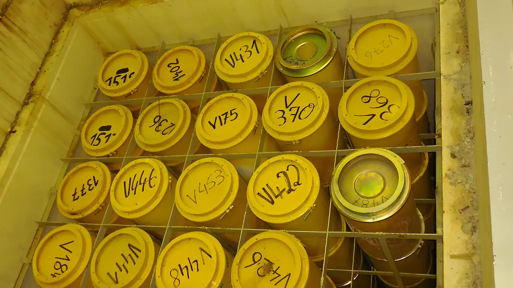 3l1m3606-jpg4873055044915744750