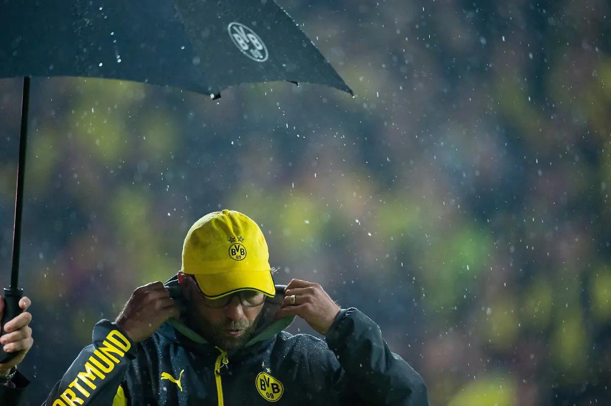 3l175636-jpg7794207684791567047