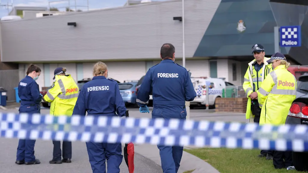 3l0q3152-jpg7040035864545481929