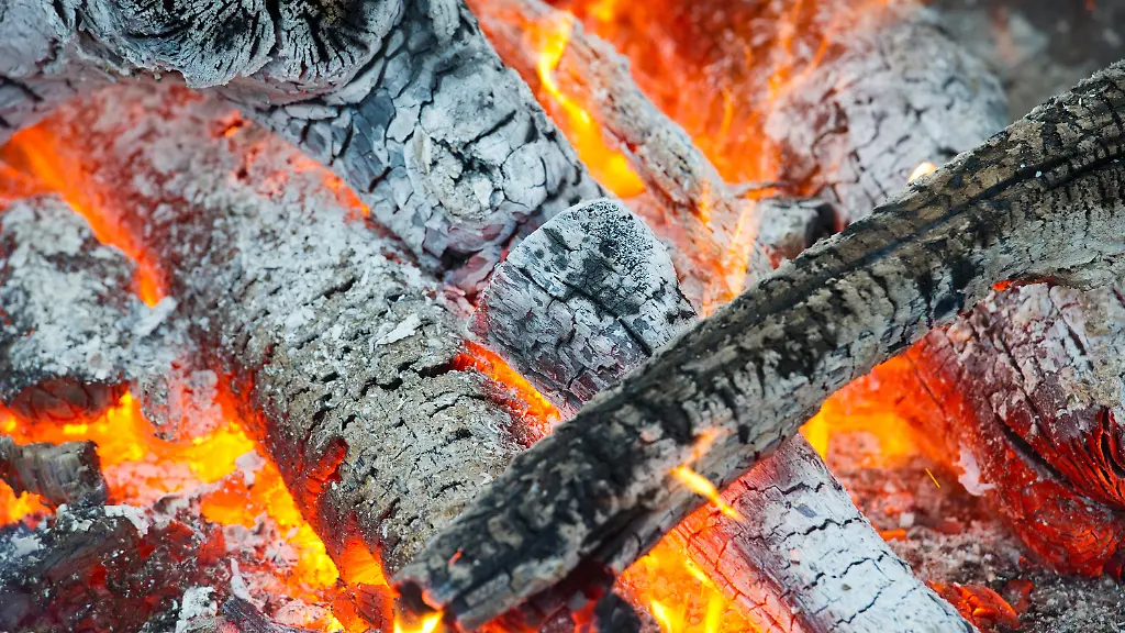 3kzk0031-jpg8584661991600454671