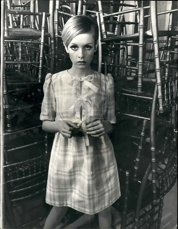 Twiggy6
