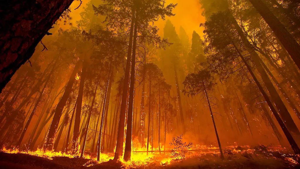 Yosemite-Nationalpark