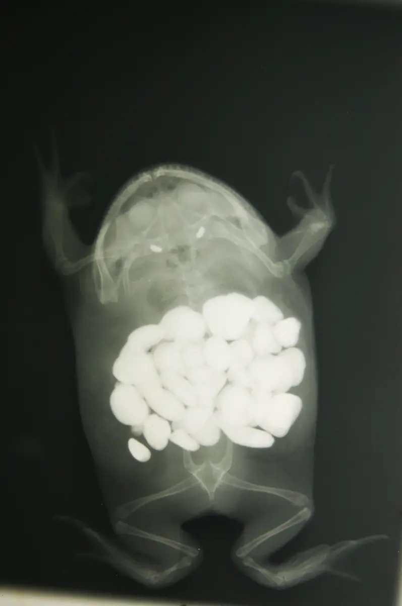 3kqt0649-jpg178143562740490081