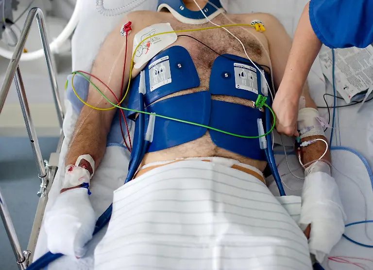 3knh0843-jpg3392896105678279125