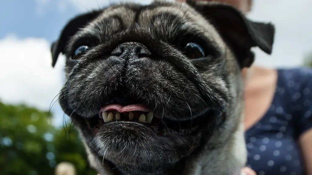 3kfu0514-jpg4350532496818021127