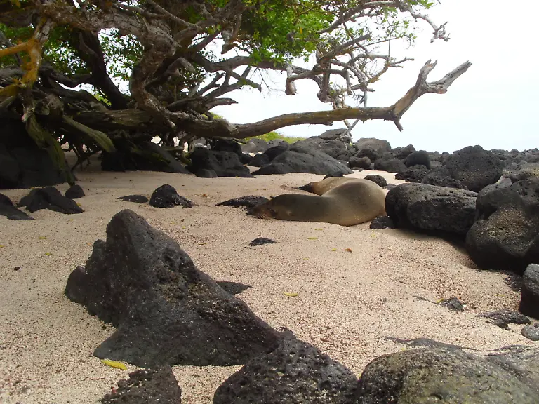 3ket0647-jpg1306026729196618602