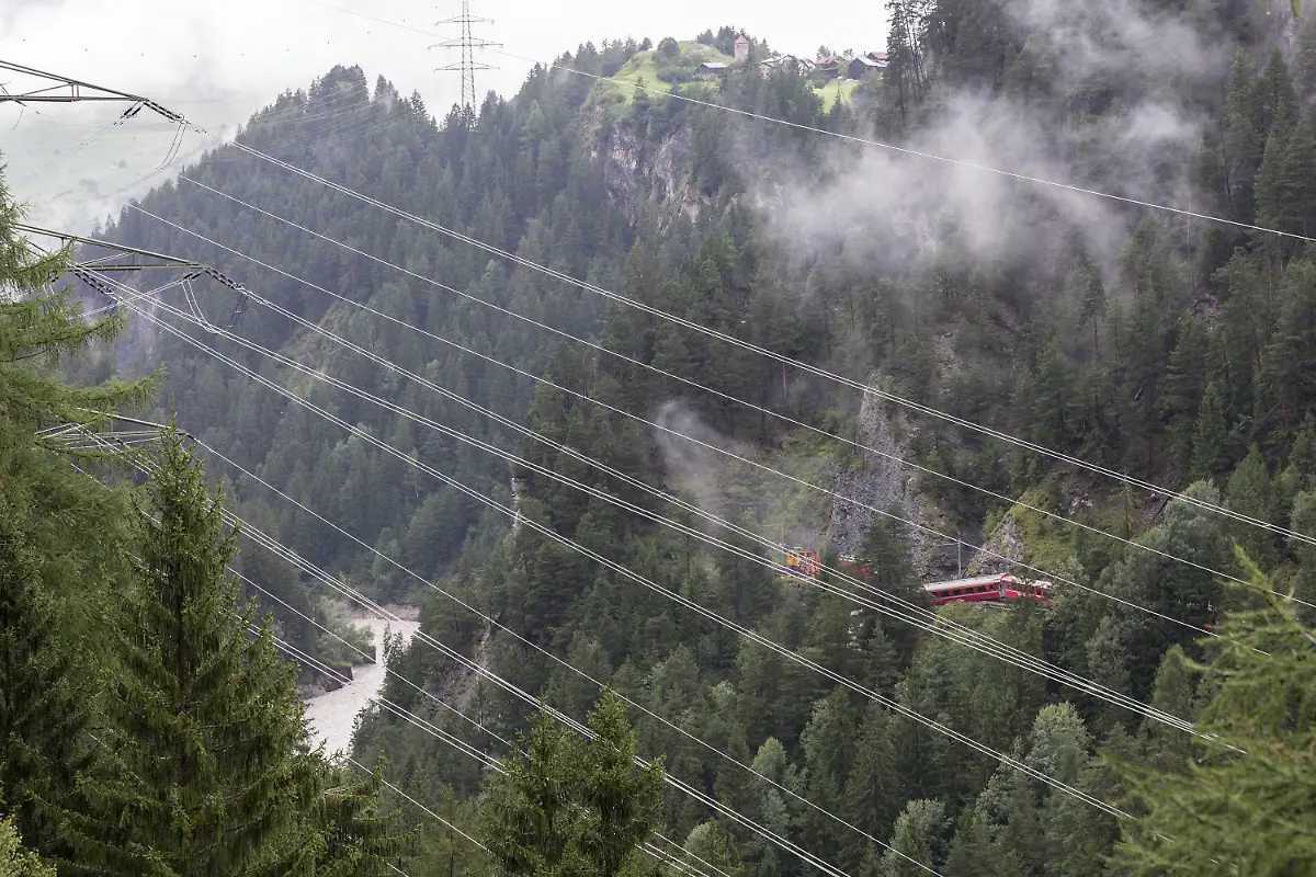 3k954053-jpg8935380708477164099