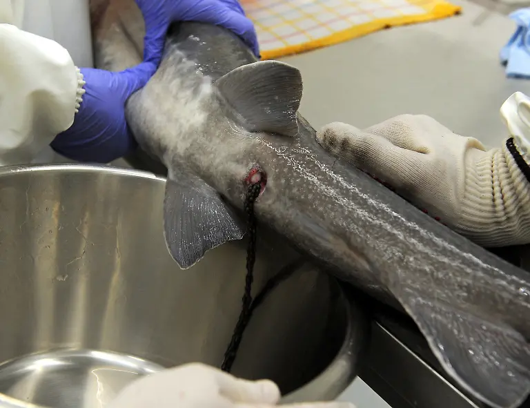 3k7h0519-jpg442402021349492352