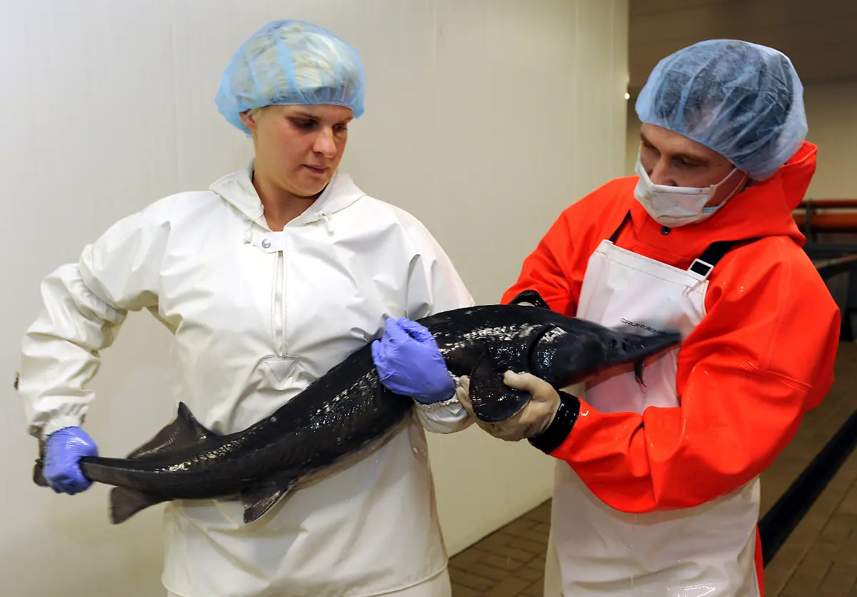 3k7h0522-jpg1368296821387286501