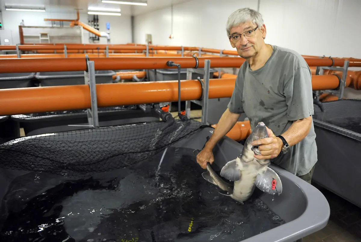 3k7h0552-jpg7145225184153050039