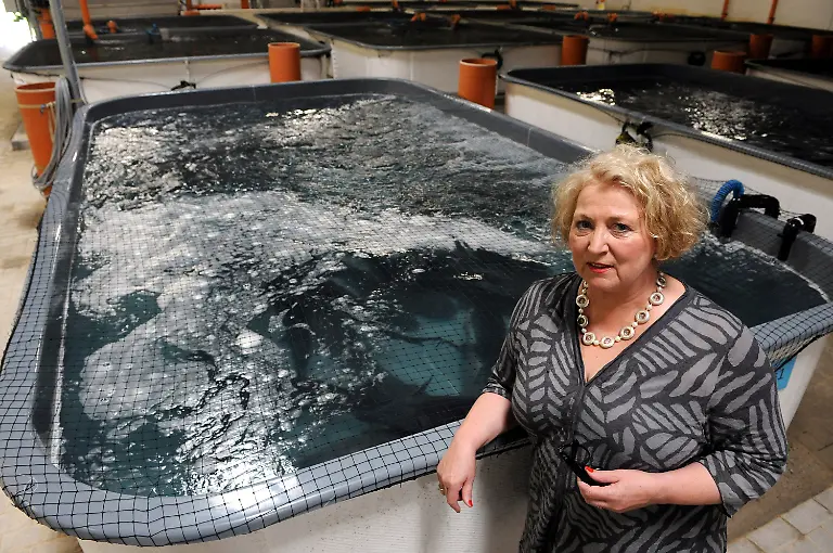 3k7h0555-jpg6356486650105650037