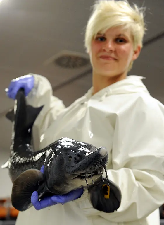 3k7h0601-jpg3475831074073692146