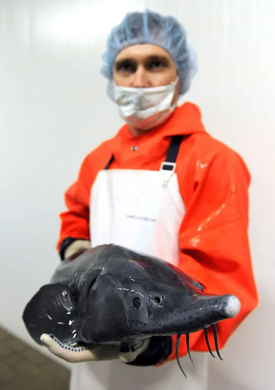 3k7h0559-jpg5813371617514038164