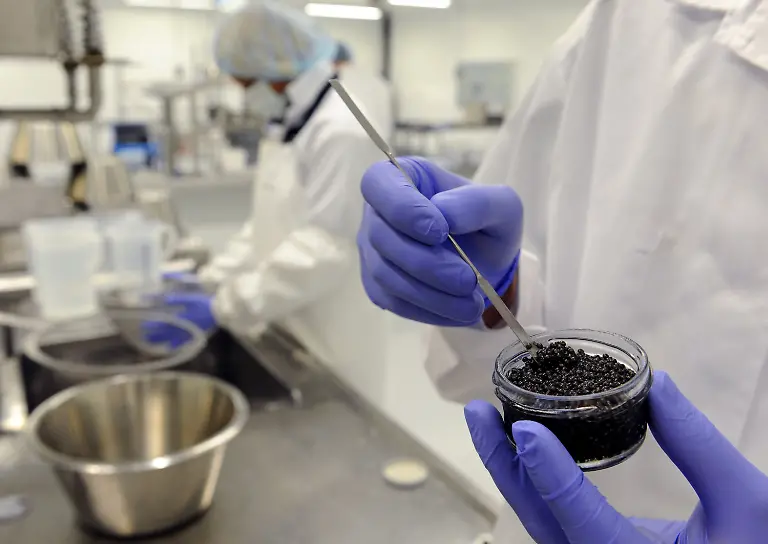 3k7h0602-jpg711284121445974431