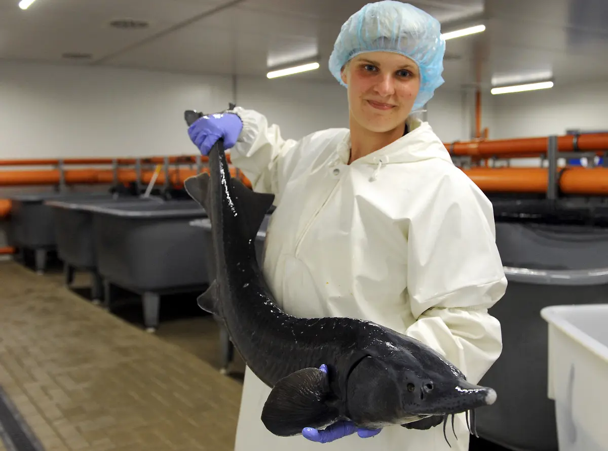 3k7h0610-jpg5960967209651975460