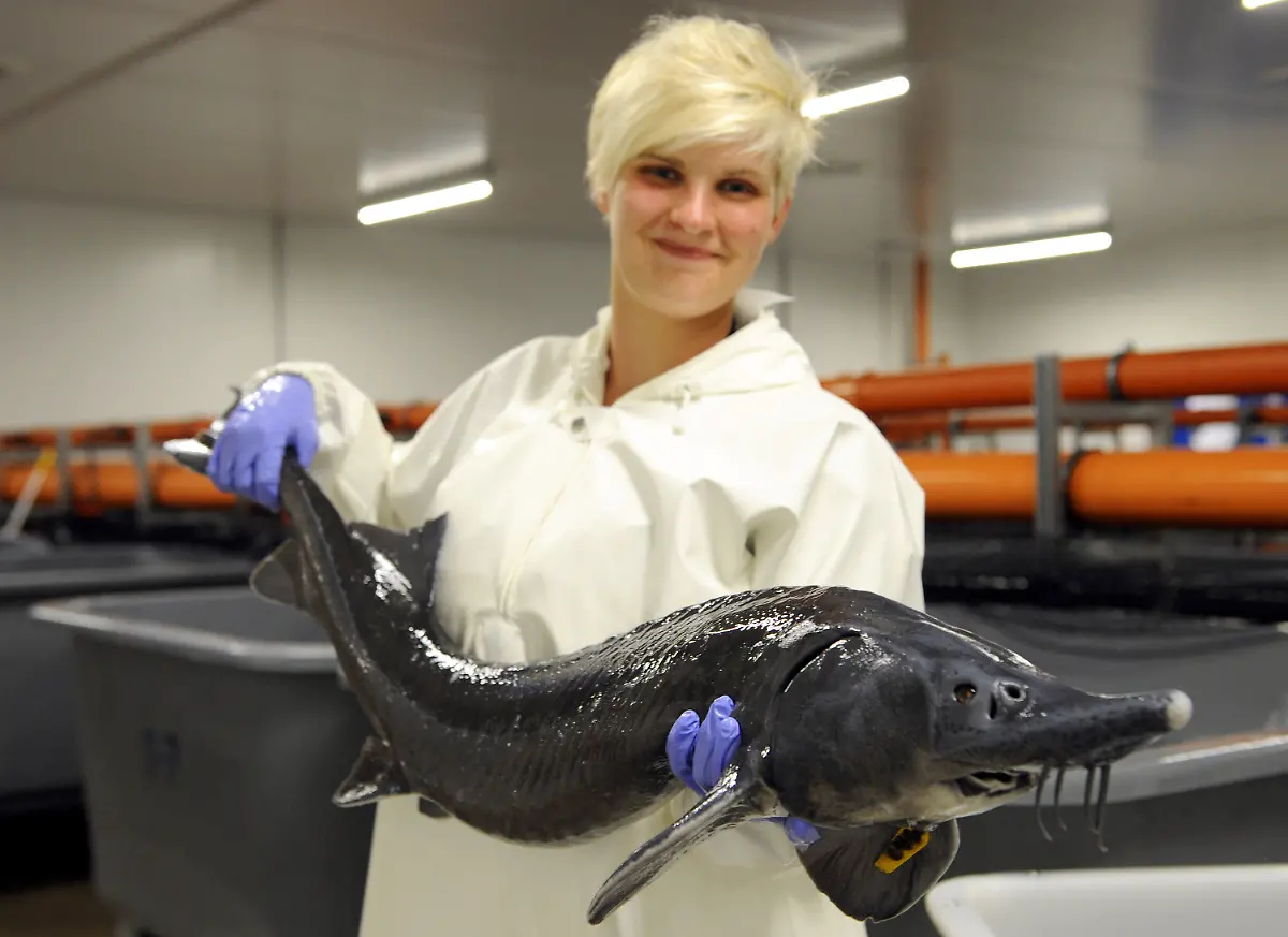 3k7h0613-jpg1074746459146529515