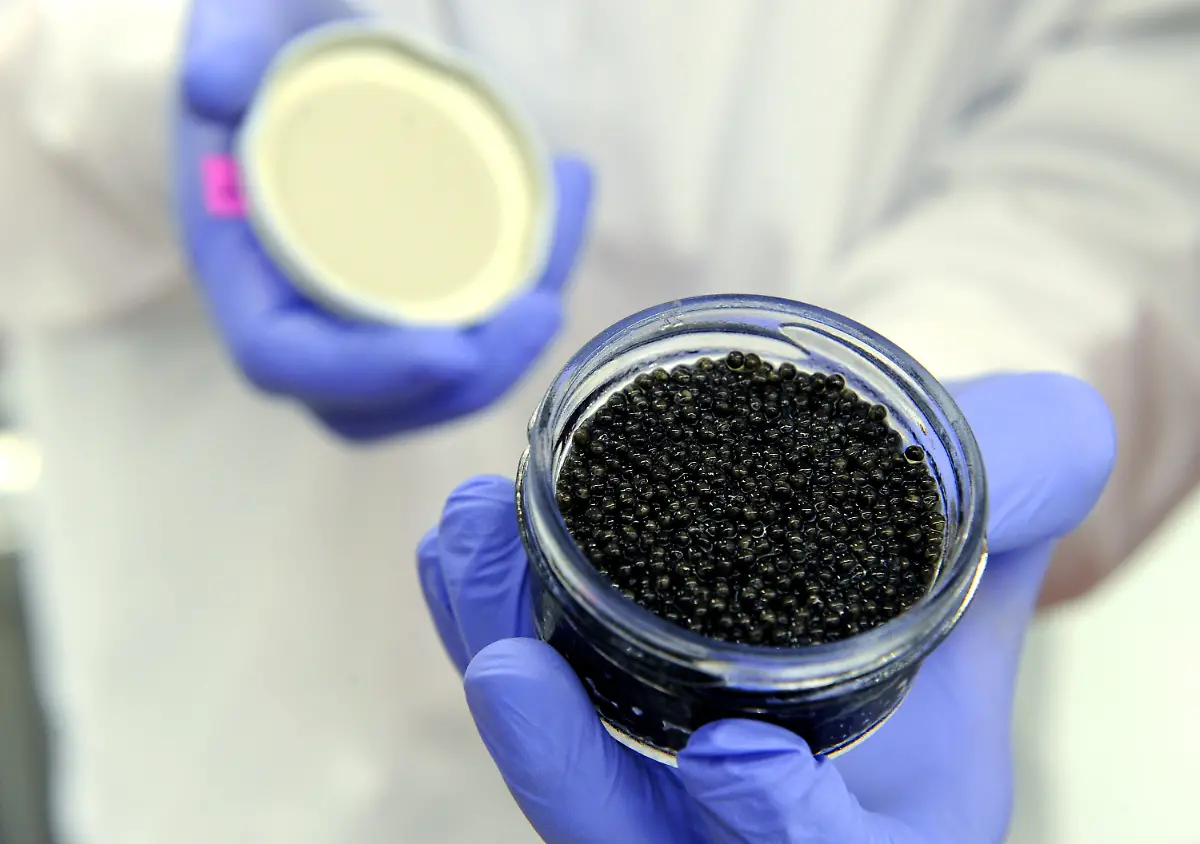 3k7h0612-jpg6910350234593196517