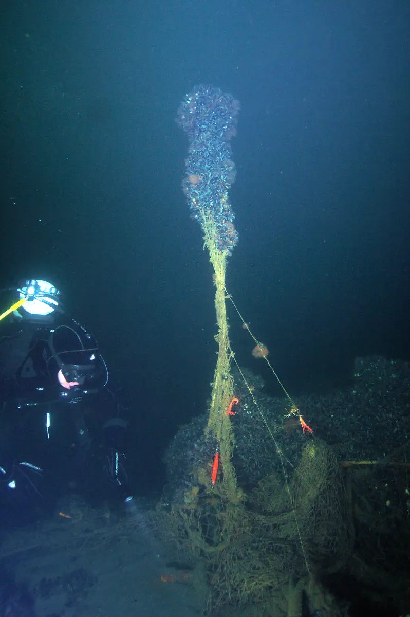 geisternetze-2014-c-philipp-kanstinger-wwf-004