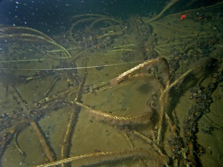 geisternetze-2014-c-philipp-kanstinger-wwf-006