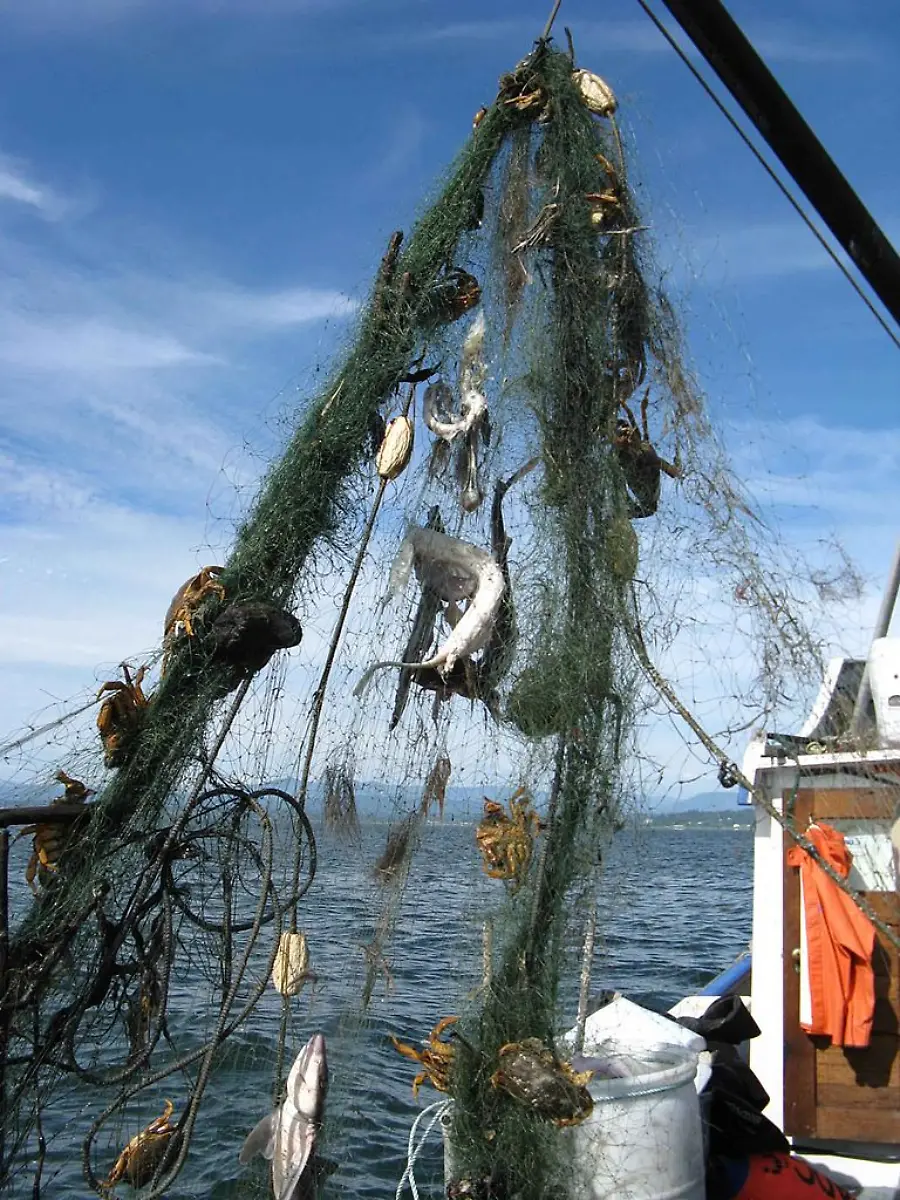 ghost-fishing-NOAA