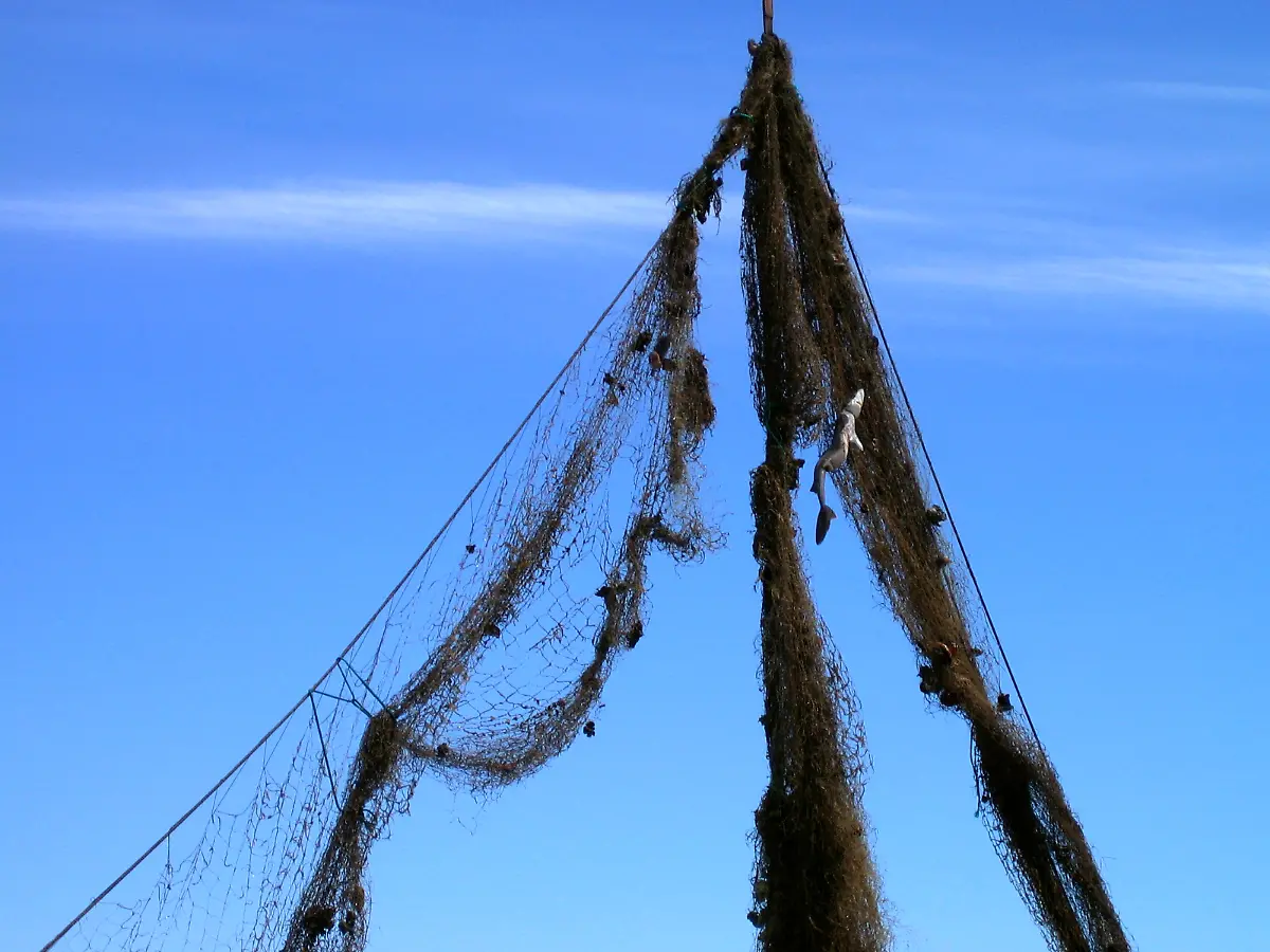 marine-debris-puget-sound-wash-06-2005-NOAA