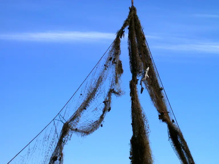 marine-debris-puget-sound-wash-06-2005-NOAA