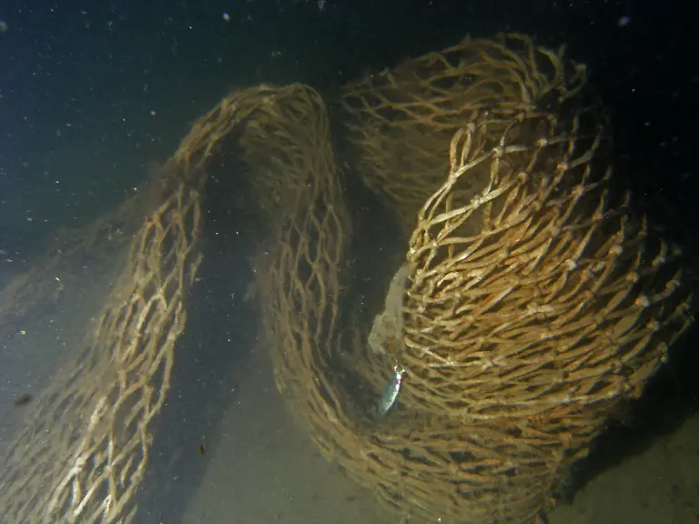 geisternetze-2014-c-philipp-kanstinger-wwf-007