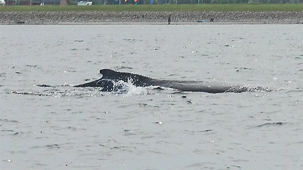 3jw82418-jpg6061247307107813184