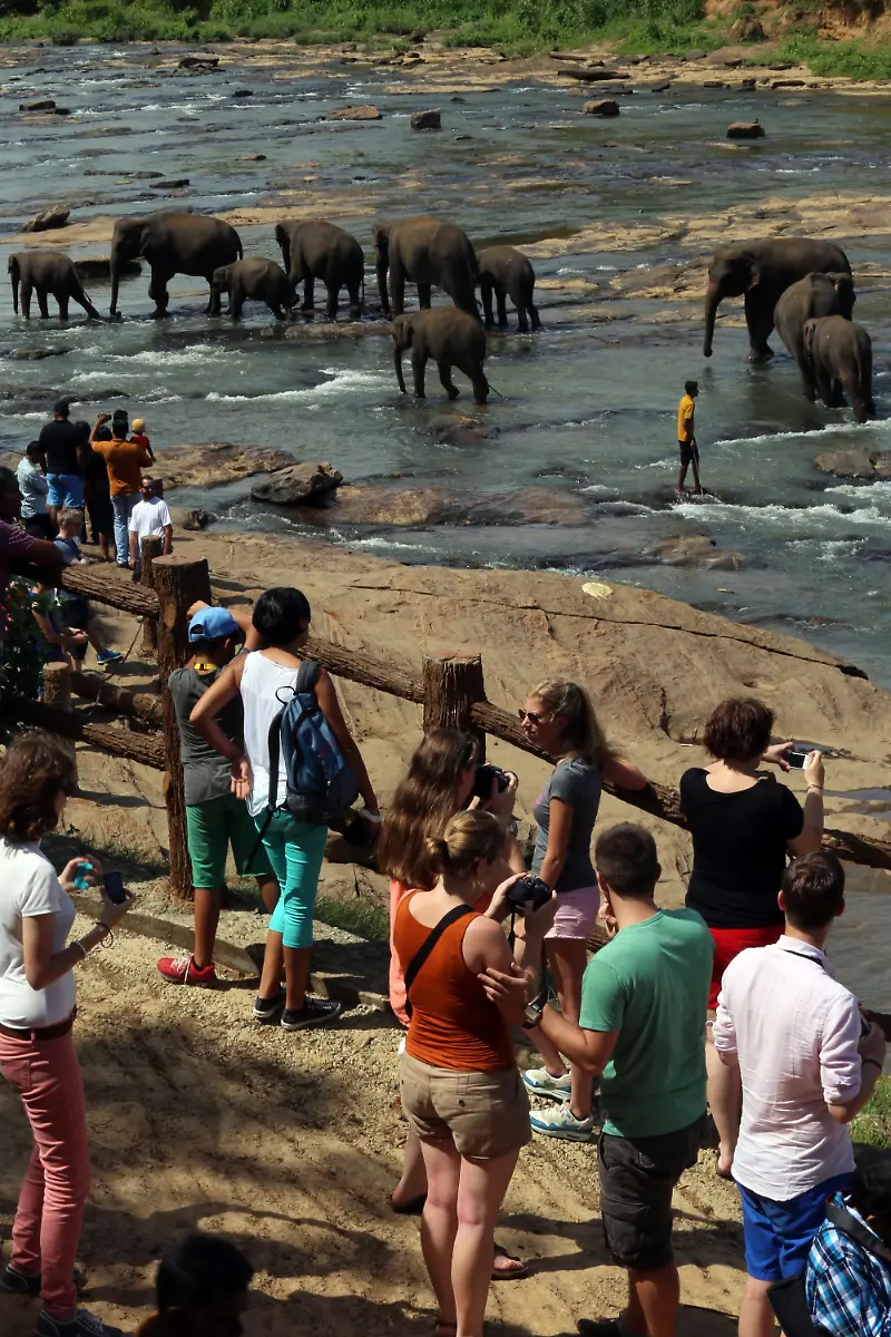 3ju50342-jpg1677408292318443066