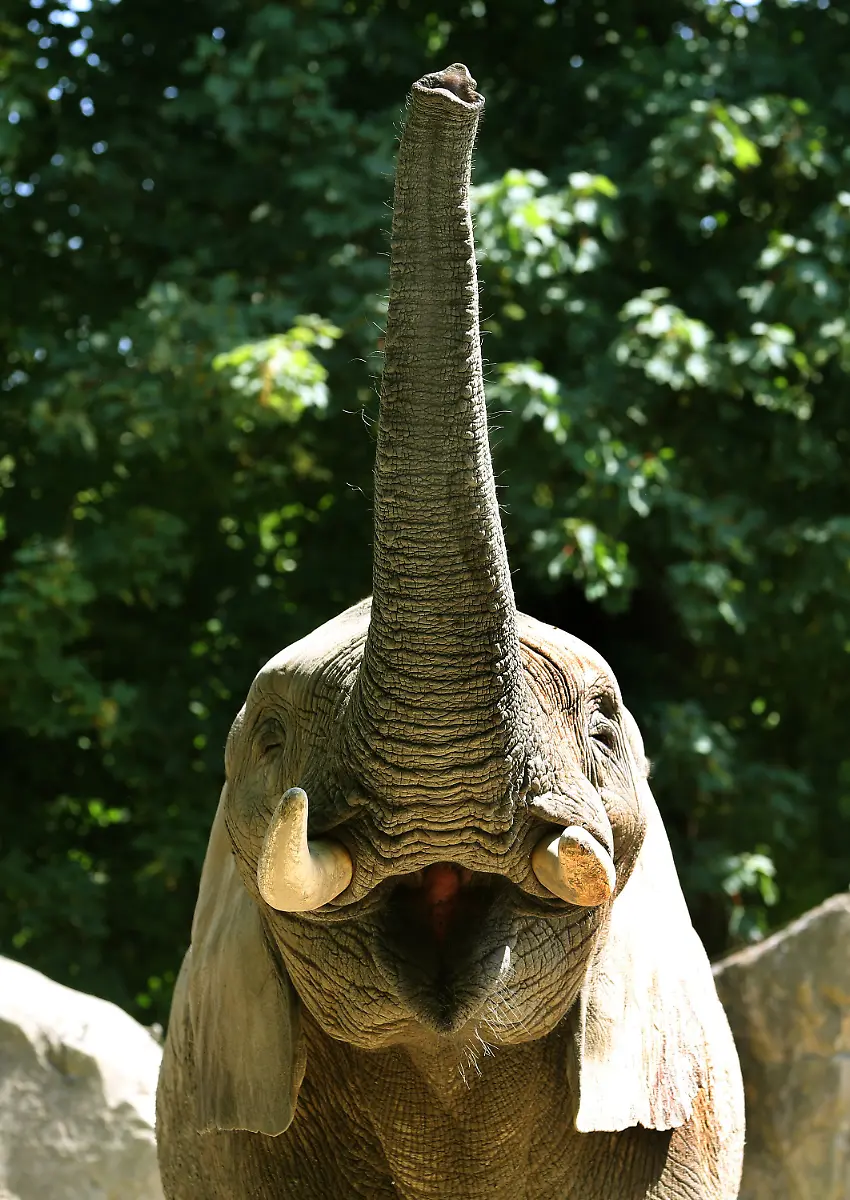 3jsf5019-jpg6469178499054885633