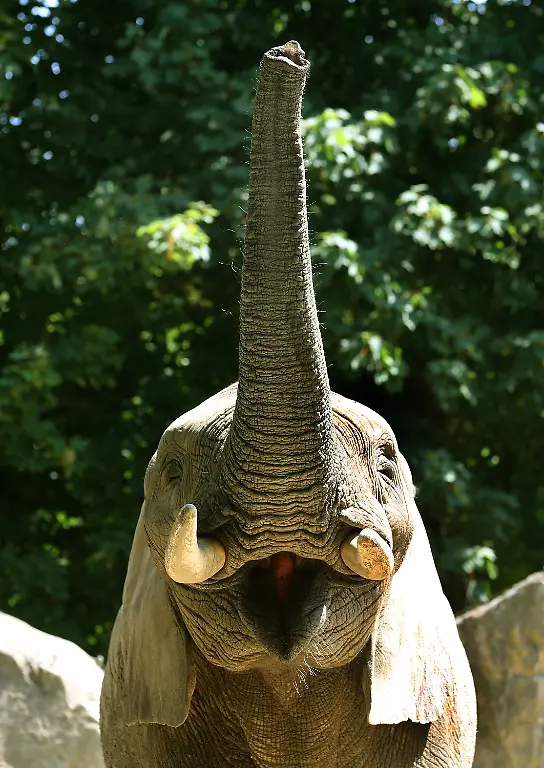 3jsf5019-jpg6469178499054885633