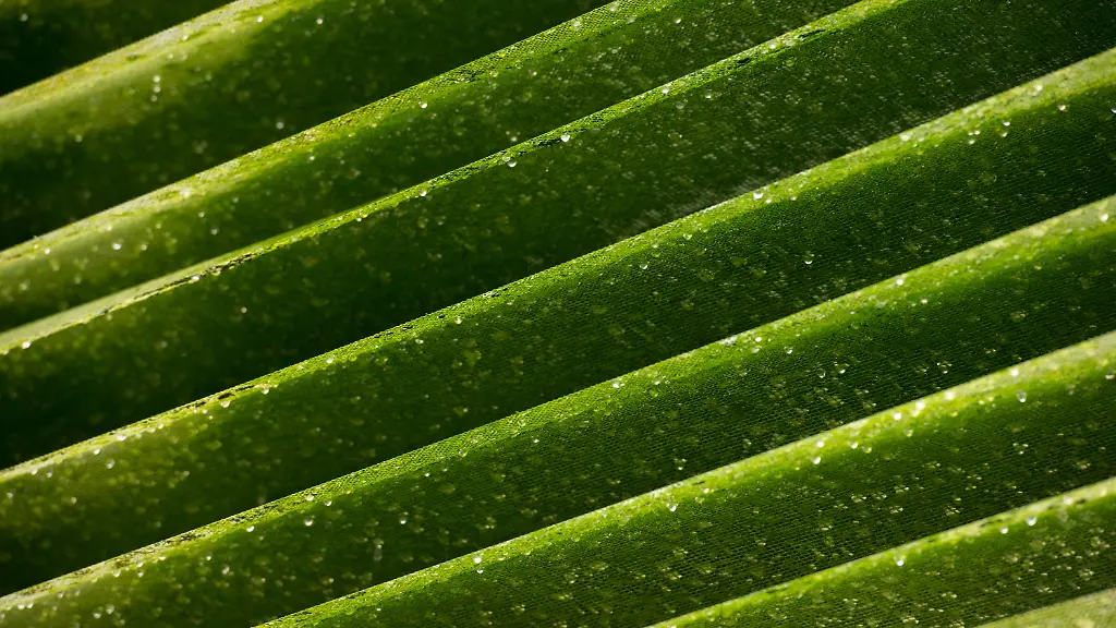 3jut0752-jpg8939291260366390092