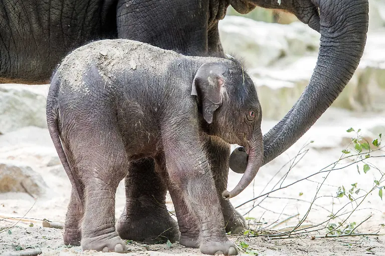 3jtb1319-jpg5380171591330662934