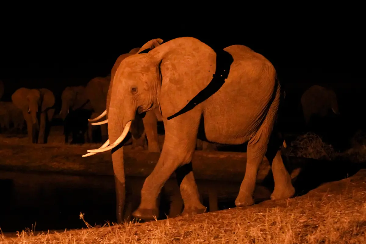 3ju50021-jpg7539852442630284579