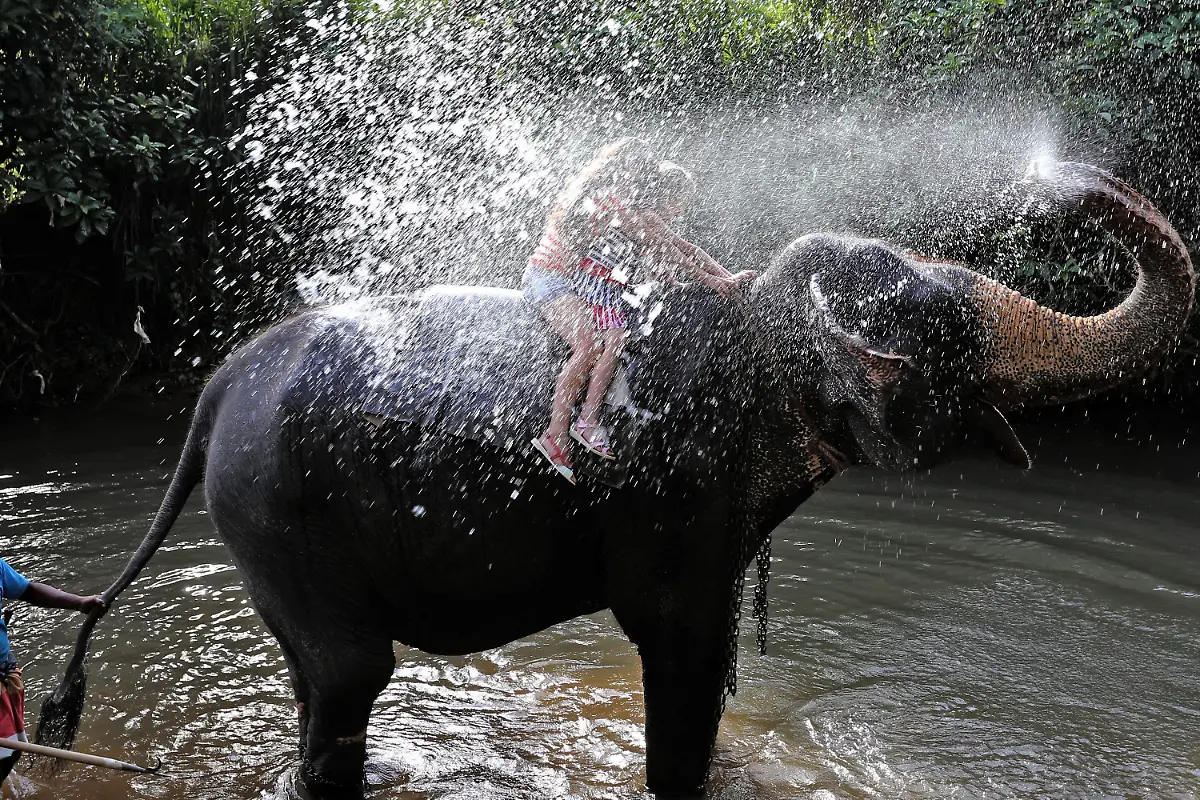 3ju50403-jpg3592036013703327335