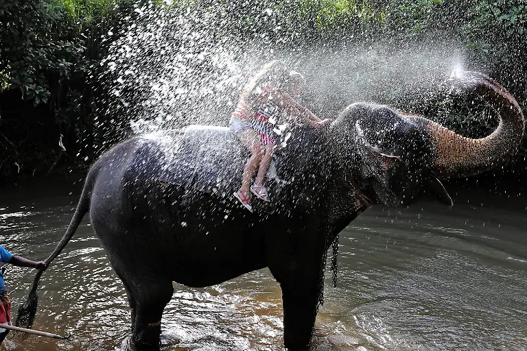 3ju50403-jpg3592036013703327335