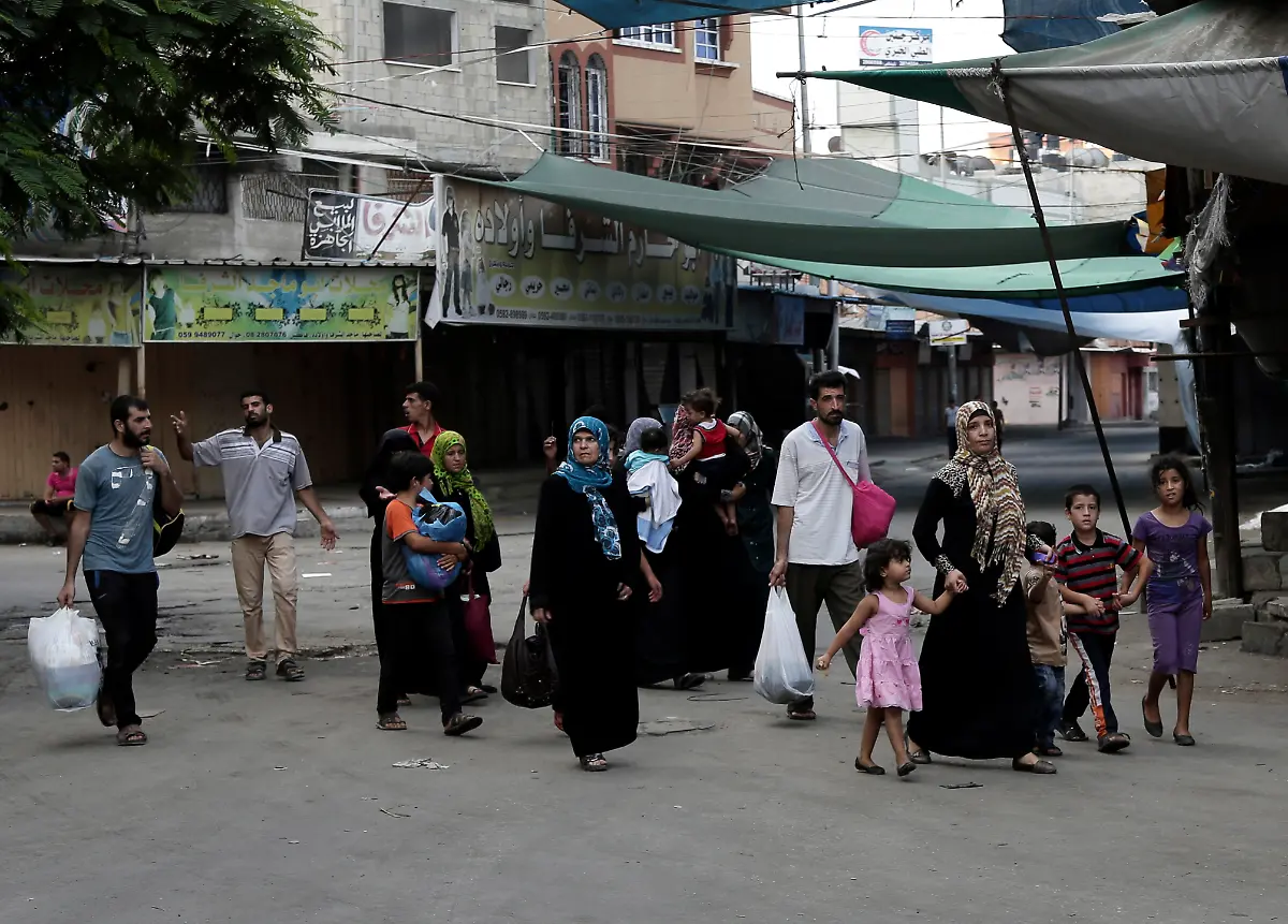 3289E800262F796D-jpg164074539450881752