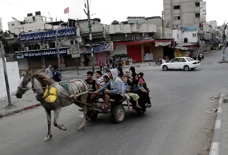 3289E800988355D2-jpg6664978195371587872